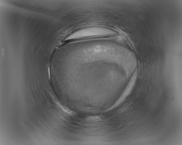 X0000051250061200507082201