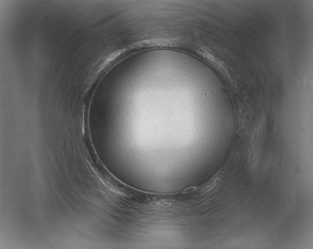 X0000051250062200507082201