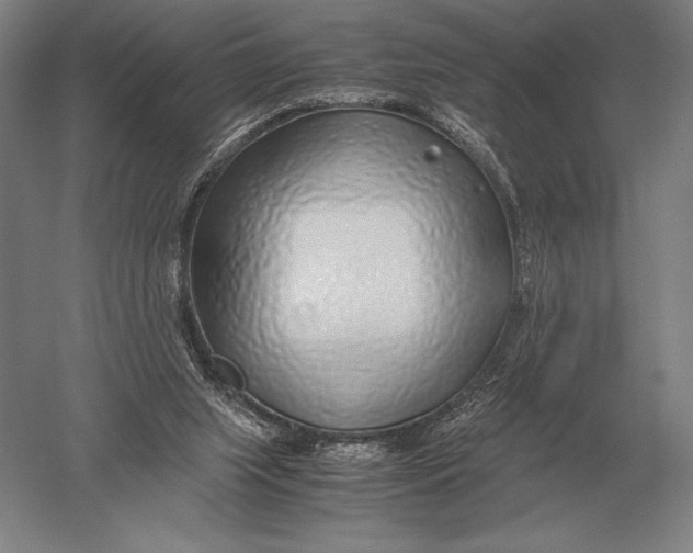 X0000051250063200507082201