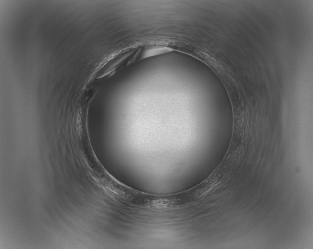 X0000051250064200507082201