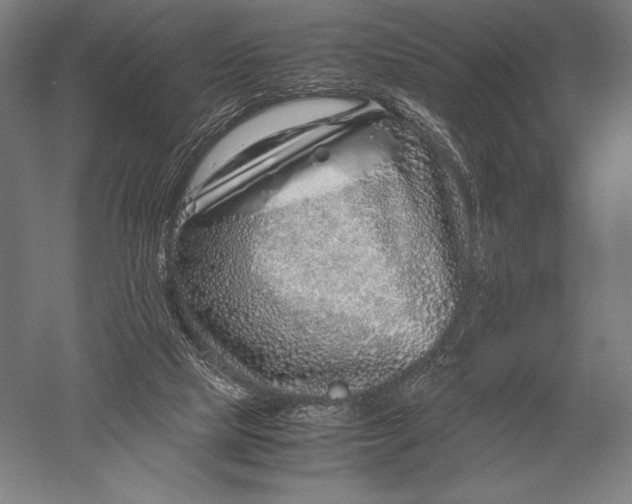 X0000051250065200507082201