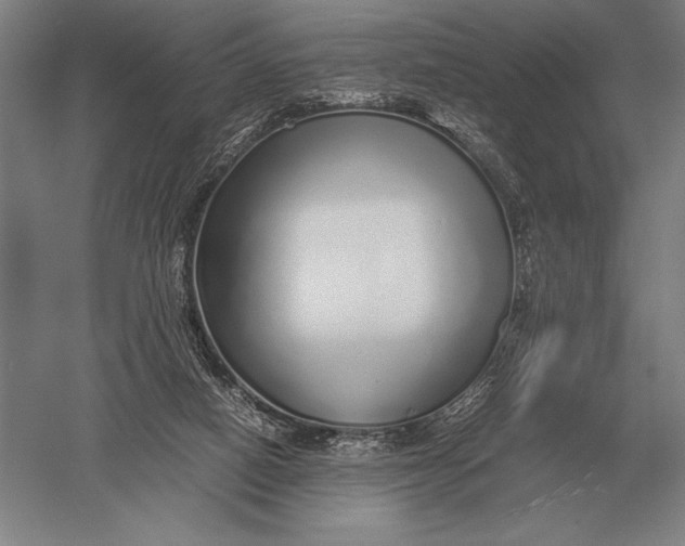 X0000051250066200507082201