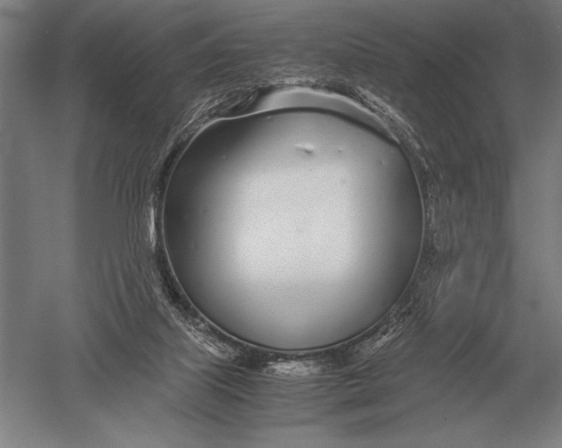 X0000051250067200507082201