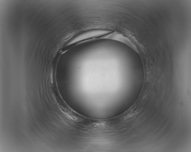 X0000051250068200507082201