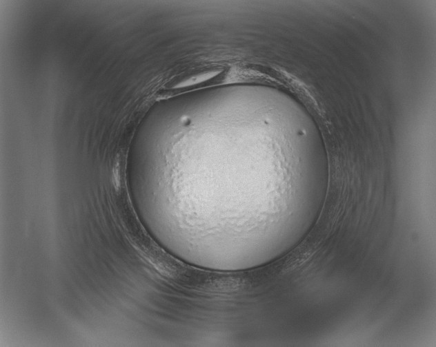 X0000051250069200507082201