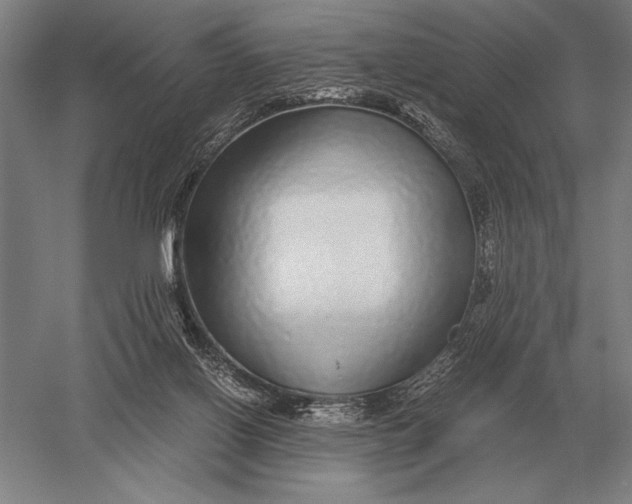 X0000051250070200507082201