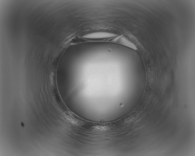 X0000051250071200507082201