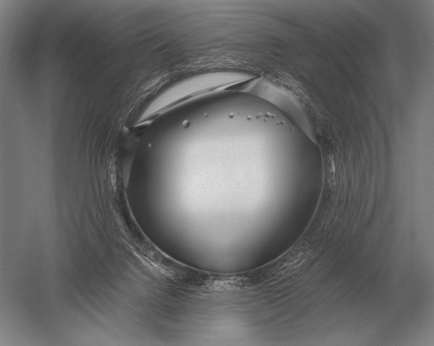 X0000051250072200507082201