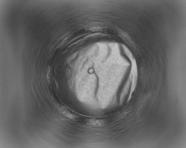 X0000051250073200507082201