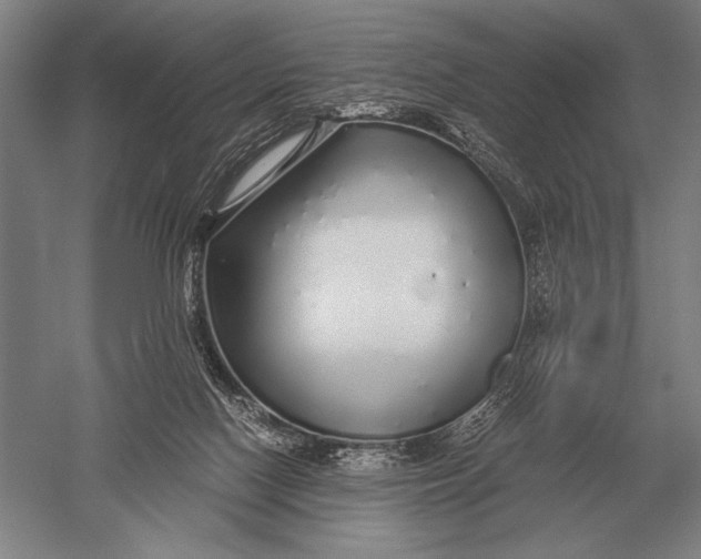 X0000051250074200507082201