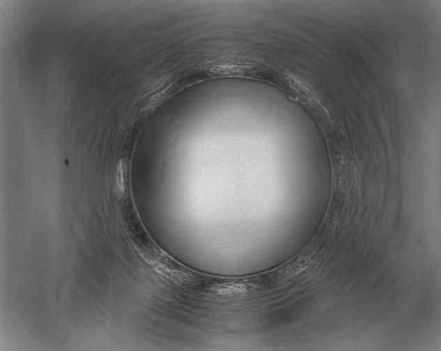 X0000051250075200507082201