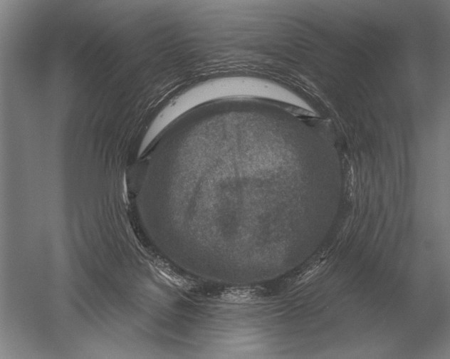 X0000051250076200507082201