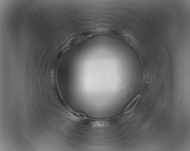 X0000051250077200507082201