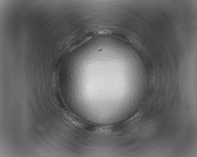 X0000051250078200507082201