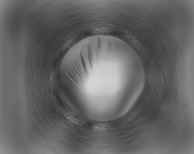 X0000051250079200507082201