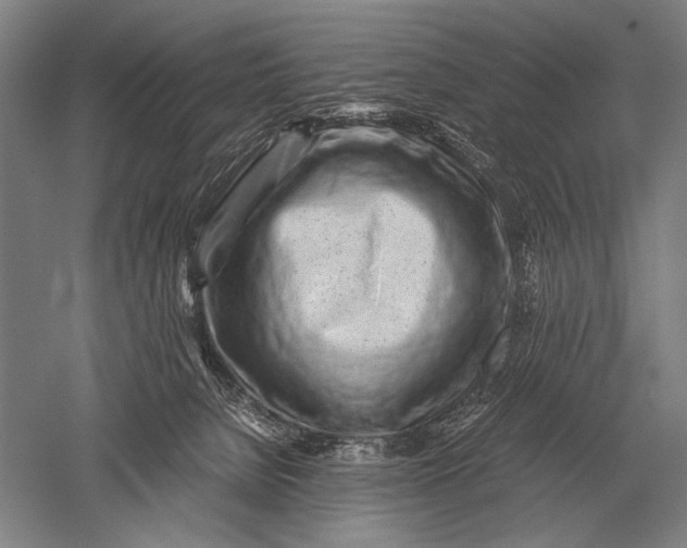 X0000051250080200507082201