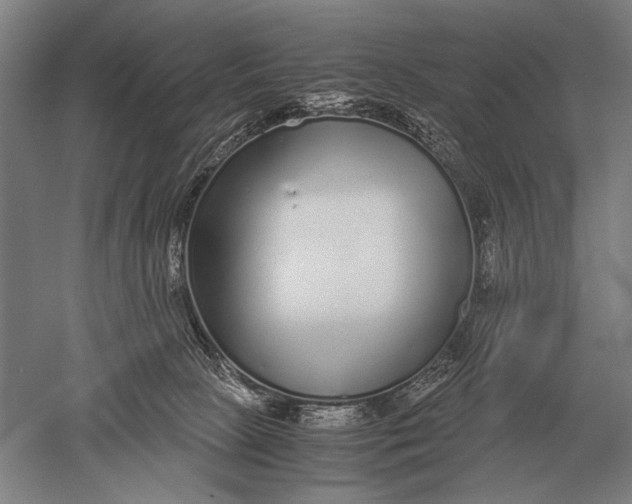 X0000051250081200507082201