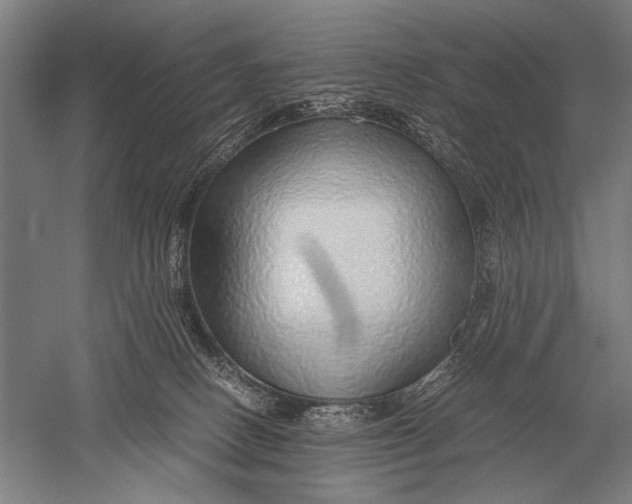 X0000051250082200507082201