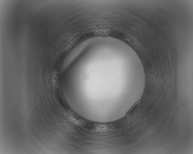 X0000051250083200507082201