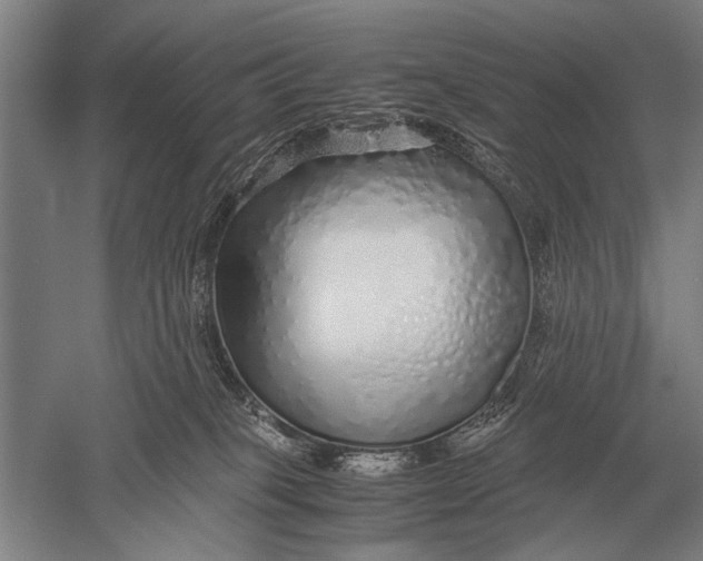 X0000051250085200507082201