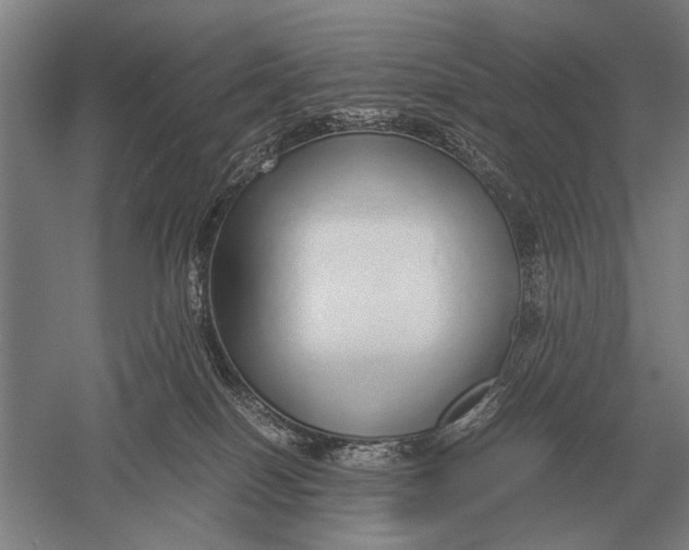 X0000051250086200507082201