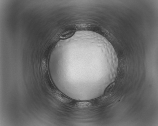 X0000051250087200507082201