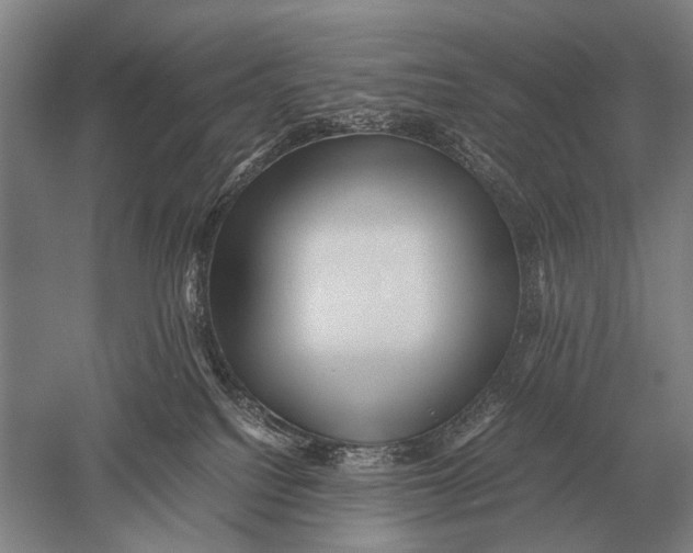 X0000051250088200507082201