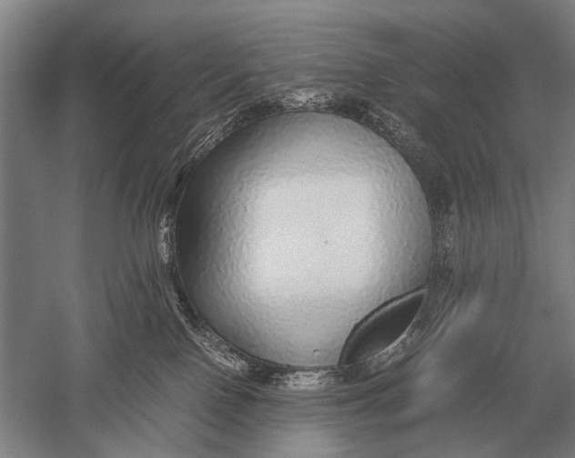 X0000051250090200507082201