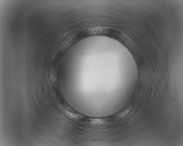 X0000051250091200507082201