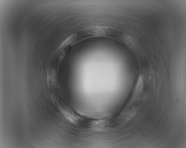 X0000051250092200507082201