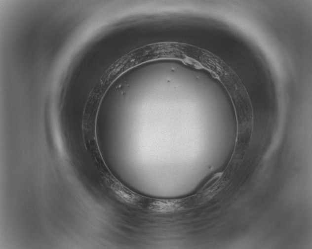 X0000051250093200507082201