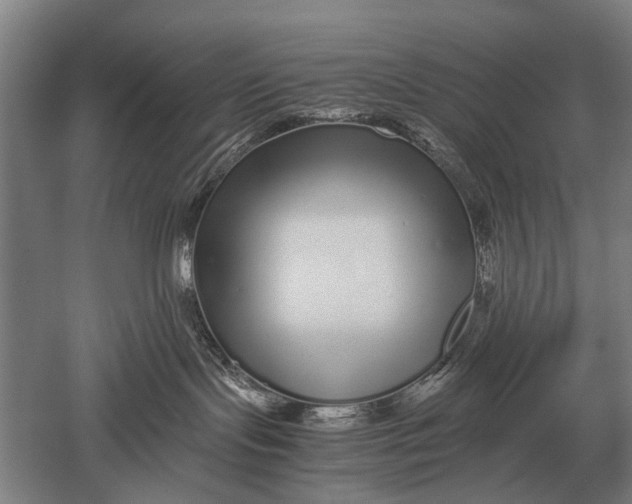 X0000051250095200507082201