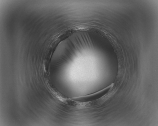 X0000051250096200507082201