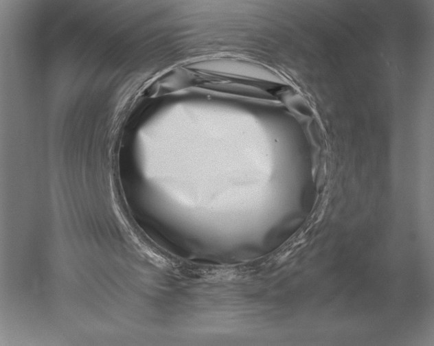 X0000051250097200507082201