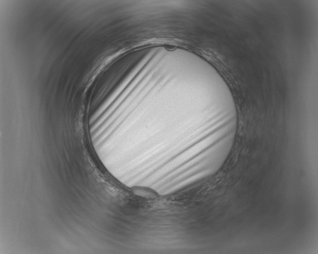 X0000051250098200507082201