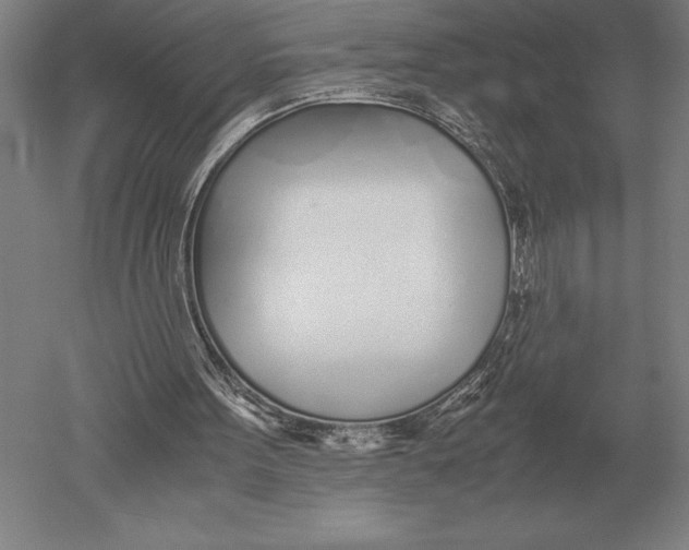 X0000051250099200507082201