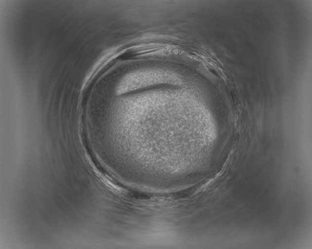 X0000051250101200507082201