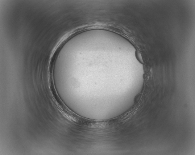 X0000051250102200507082200