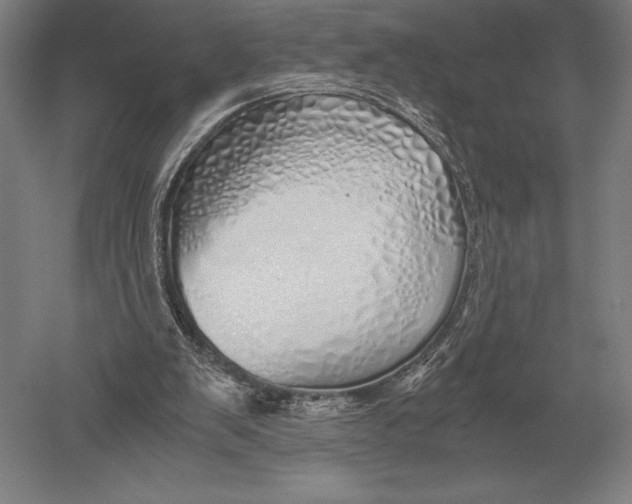 X0000051250103200507082200