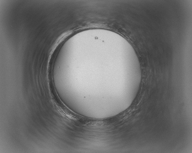 X0000051250104200507082200