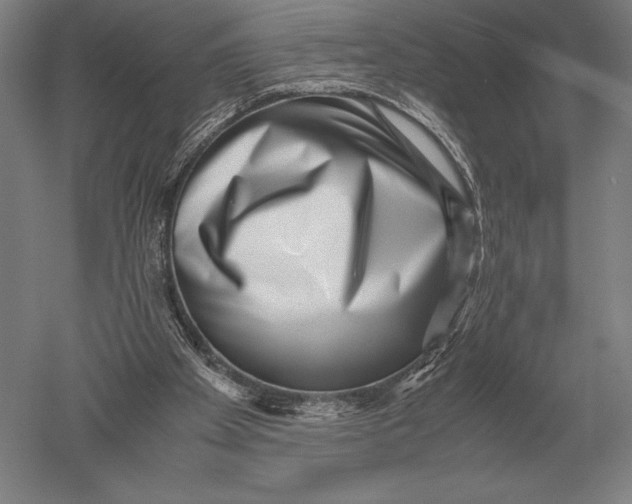 X0000051250105200507082200