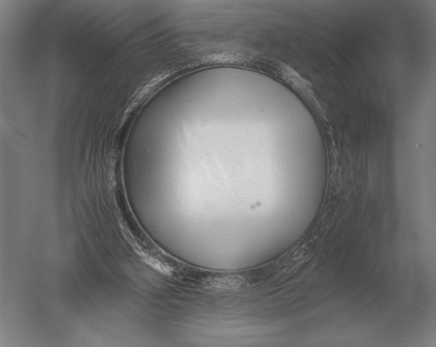 X0000051250106200507082200