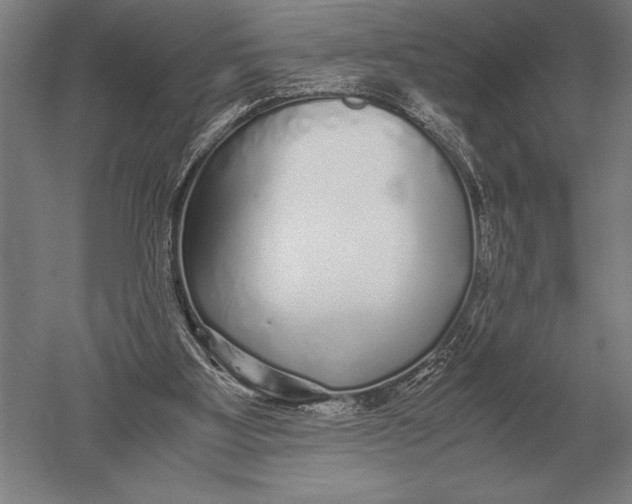 X0000051250107200507082200