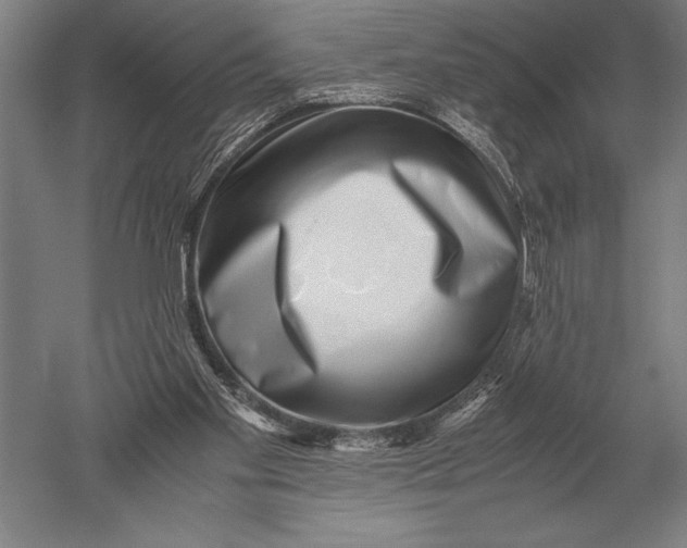 X0000051250109200507082200