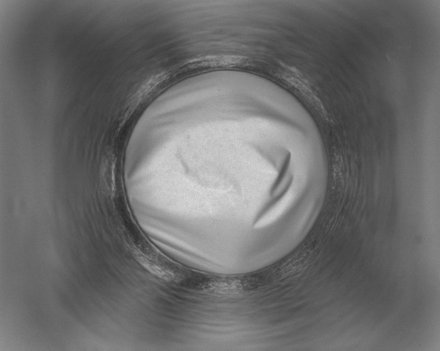 X0000051250110200507082200