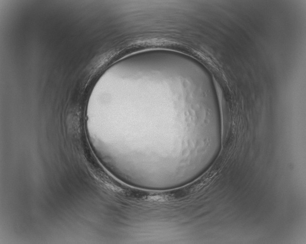 X0000051250111200507082200