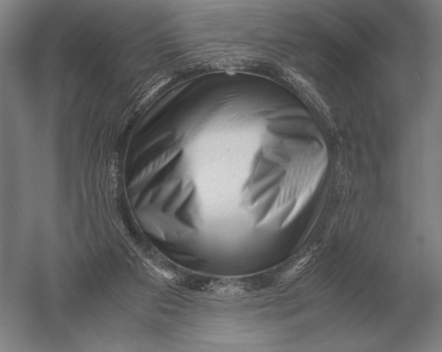 X0000051250113200507082200