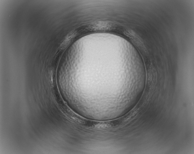 X0000051250115200507082200