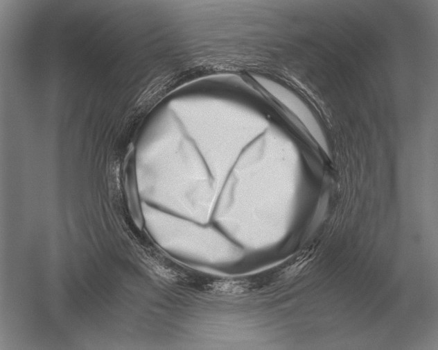 X0000051250117200507082200