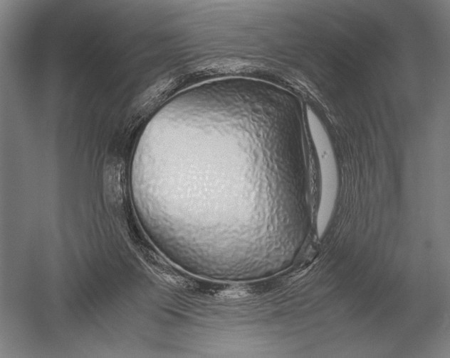 X0000051250119200507082200